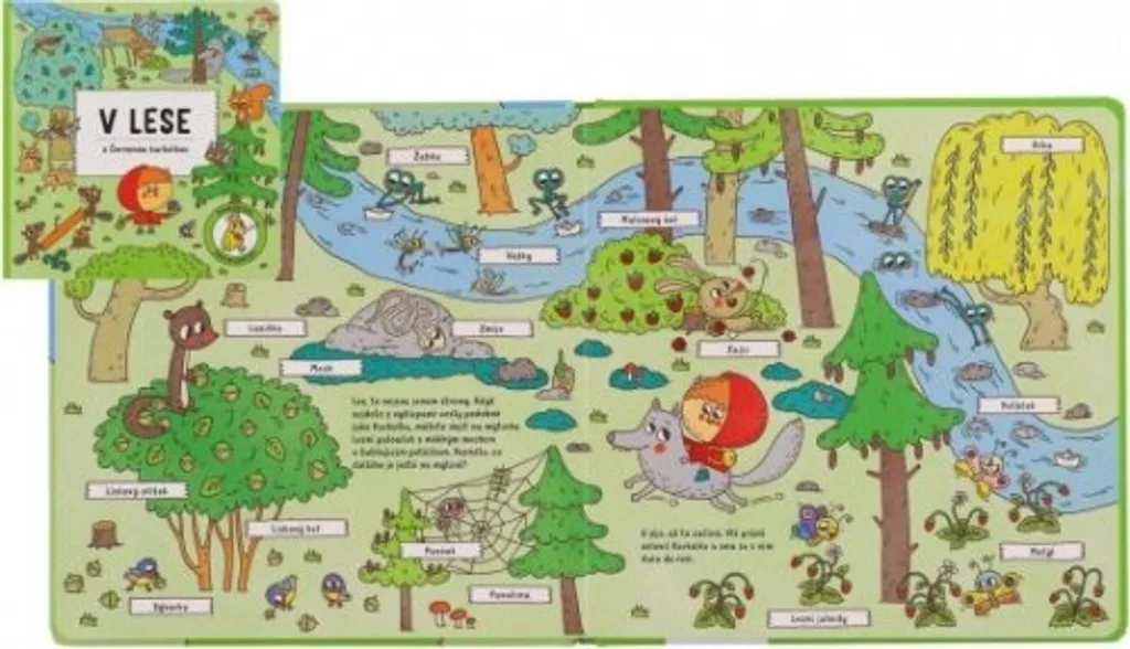 Livre pour Enfants Langue Tchèque V lese s Červenou karkulkou en Forêt