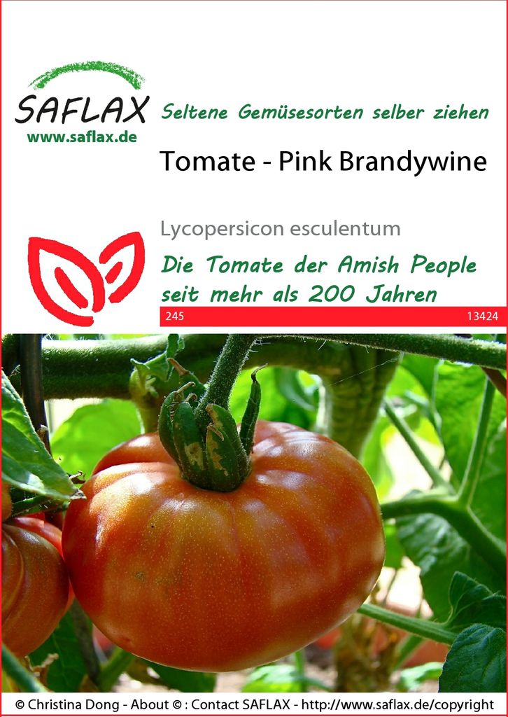 SAFLAX – Semi Di Pomodoro Tigerella (10 Pezzi) – Varietà Inglese Striata Con Substrato Di Cocco - 3