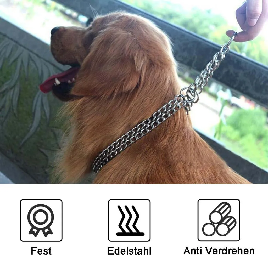 Collier d'entraînement pour chien robuste avec boucle confort réglable