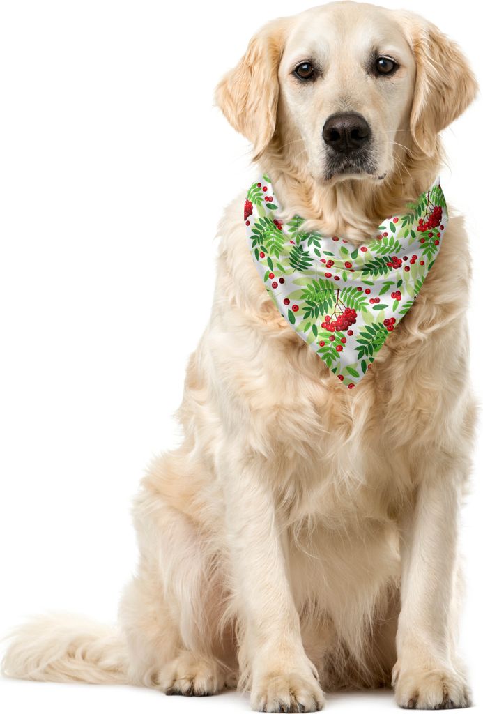 ABAKUHAUS Eberesche Haustier Bandana, Grüne Blätter Wilde Früchte, 40x40 cm, Apfelgrün Farn-Grün