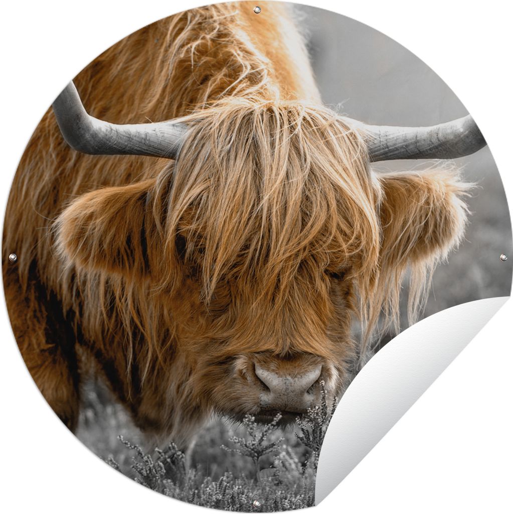 MuchoWow Gartenposter Outdoor-Poster Rund Scottish Highlander - Pflanzen - Schwarz - Weiß Ø 120 cm Gartendeko Rundes Poster draußen