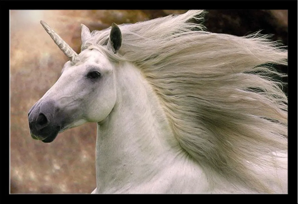 Affiche Licorne Bob Langrish et Cadre MDF Shinsuke Noir Protecteur