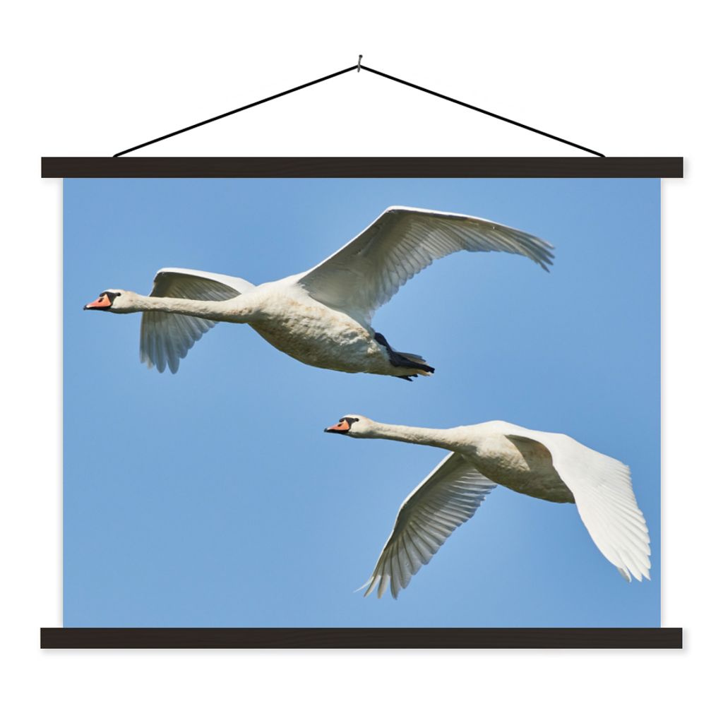MuchoWow Textilposter Schwan - Vogel - Himmel - Blau 150x113 cm mit schwarzem Rahmen - Wohnzimmer