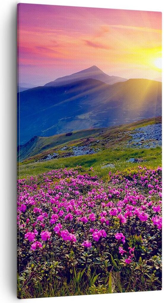 Bild auf Leinwand - Leinwandbild - Wiese Berge Landschaft - Produktbild 
