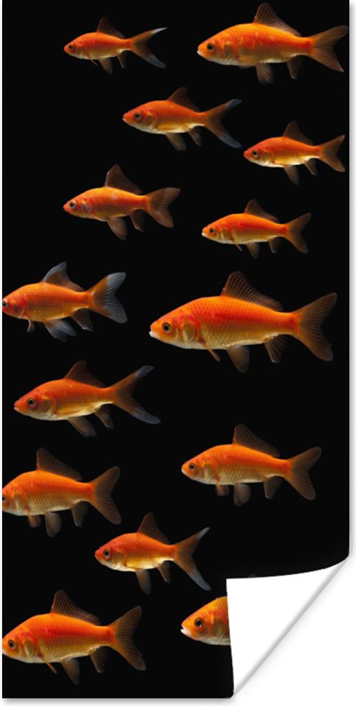 MuchoWow Poster Goldfisch - Tiere - Schwarz 40x80 cm - Dekoration