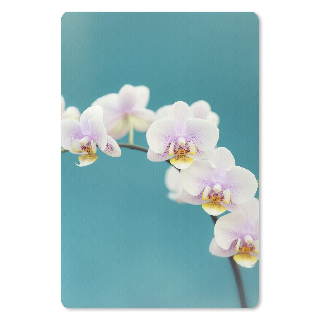 MuchoWow Mauspad Mousepad Orchidee - Blumen - Pflanze - Weiß - Lila 40x60 cm - Mousepads - Maus Mat - Pad - Mausunterlage - Schreibtisch Accesoire