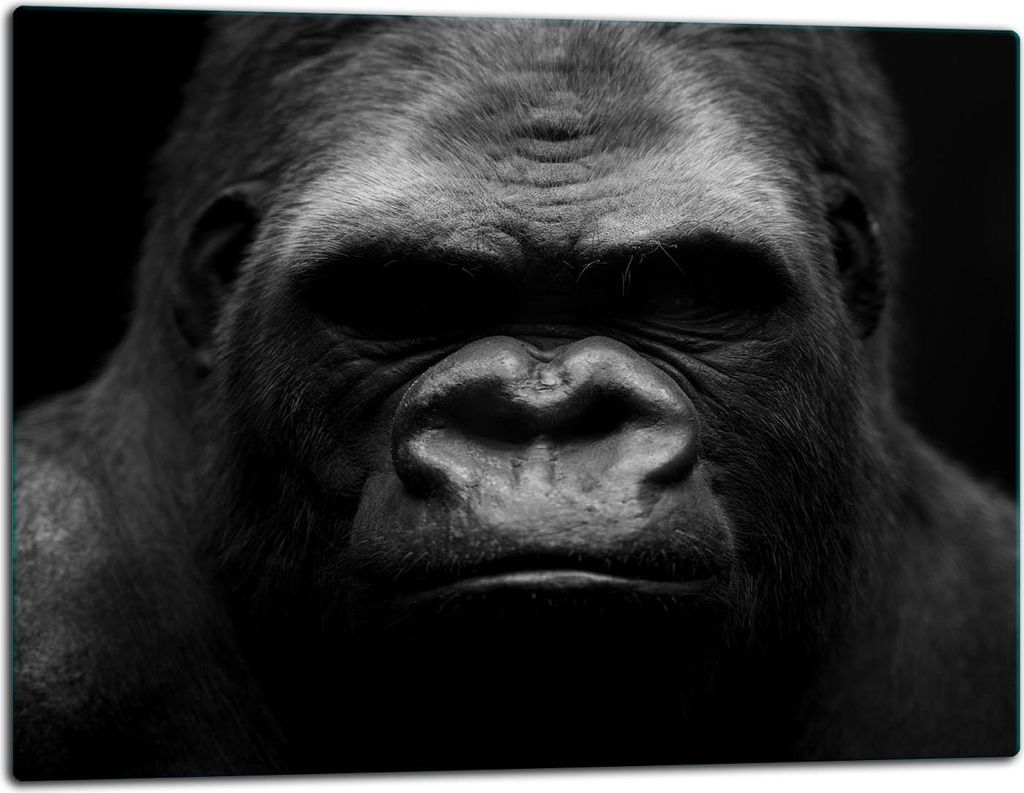 Glasschneidebrett Herdabdeckplatte Glaskeramikkochfeld Universal 52x40 cm Schwarz Gorilla