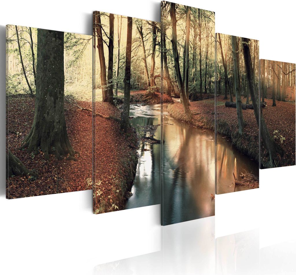 Tableaux muraux représentant une forêt, la nature et un Image du produit 