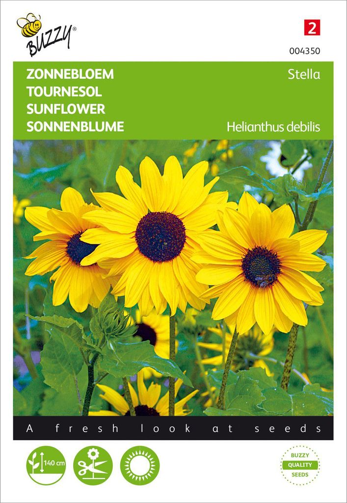 Kleinblümige Sonnenblume Stella Gelb | Sonnenblumensamen von Buzzy Seeds