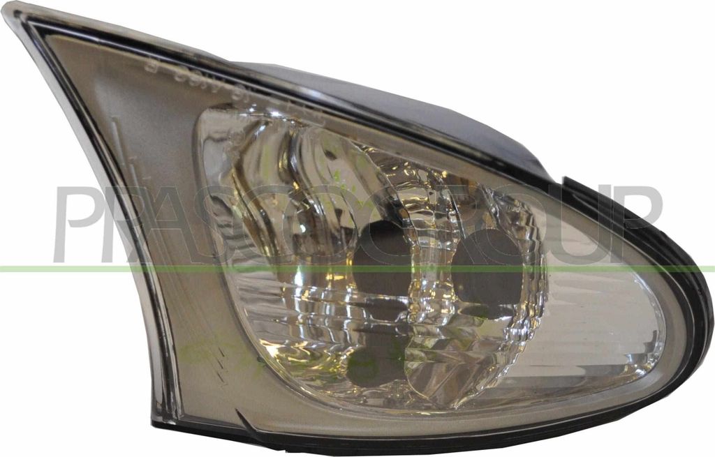 PRASCO BM0204024 - OE 63136915377 Blinker, Außenspiegel links für 3er (E46)