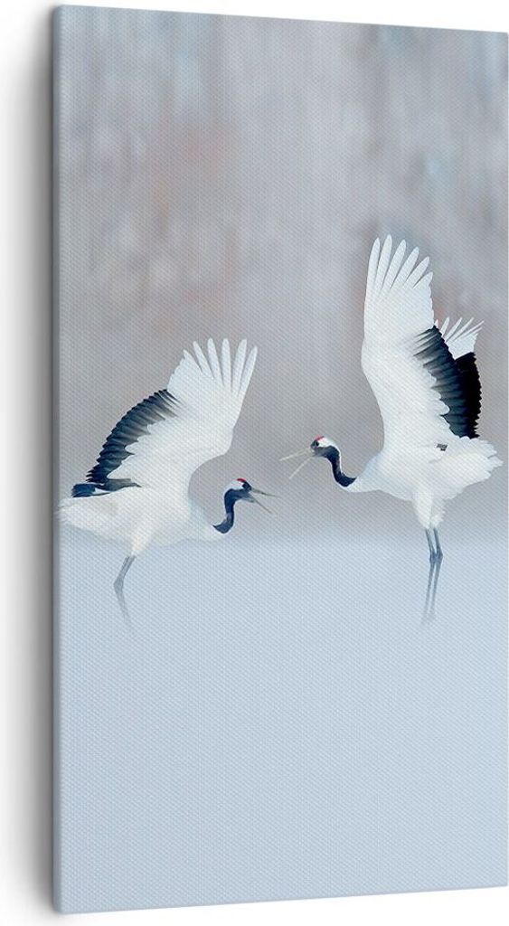 Bild auf Leinwand - Leinwandbild - Einteilig - Kraniche kämpfen tanzen - 45x80cm - Wand Bild - Wanddeko - Wandbilder - Leinwanddruck - Bilder - Wa...