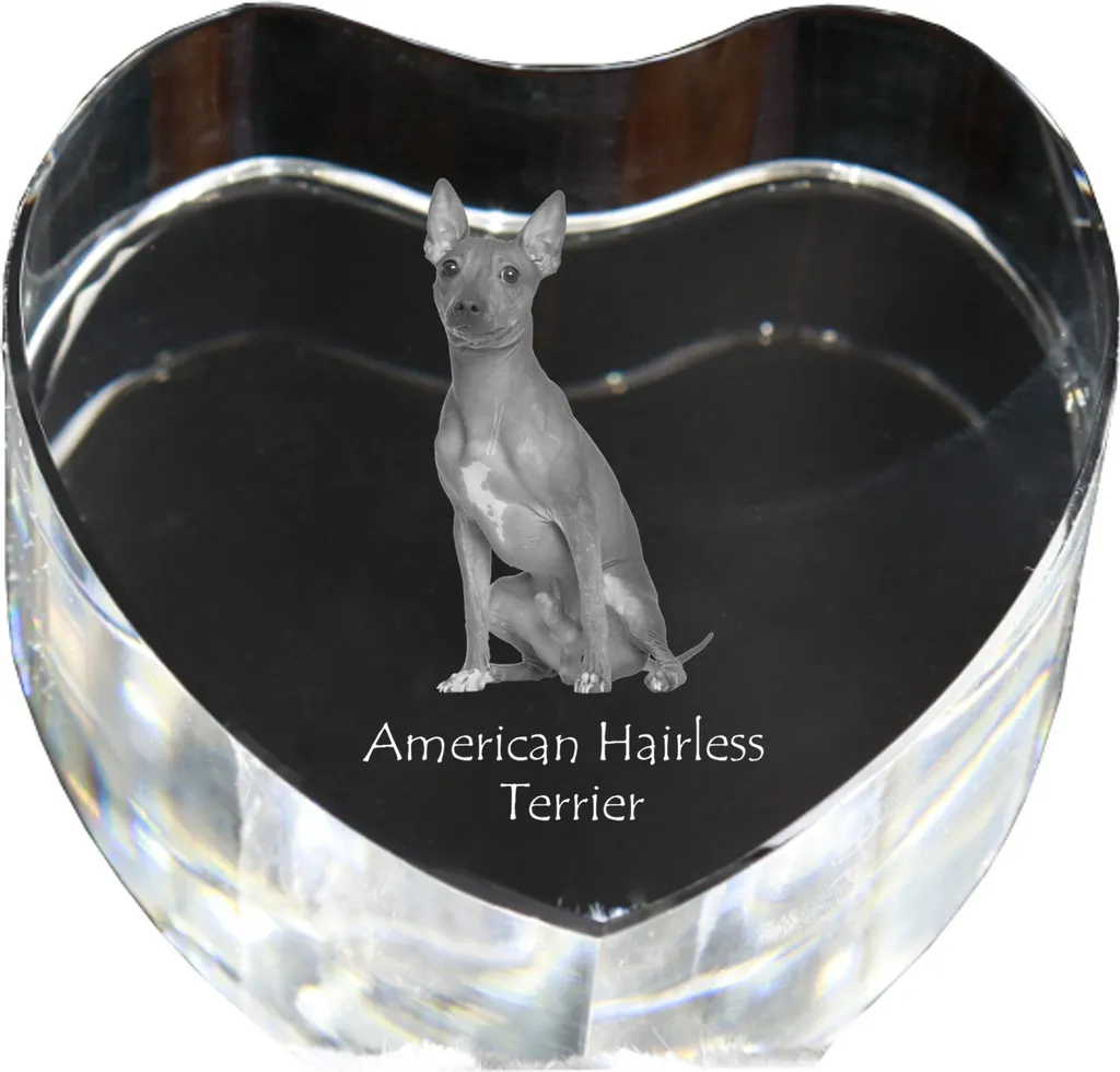 Souvenir Durable Terrier Américain sans Poils : Cristal Inaltérable