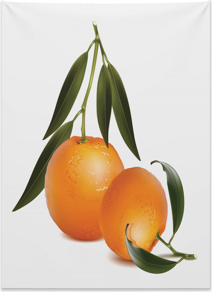 Abakuhaus grün orange Wandteppich, Frische Mandarine aus Weiches Mikrofaser Stoff Kein Verblassen Klare Farben Waschbar, 110 x 150 cm, Olivengrün...