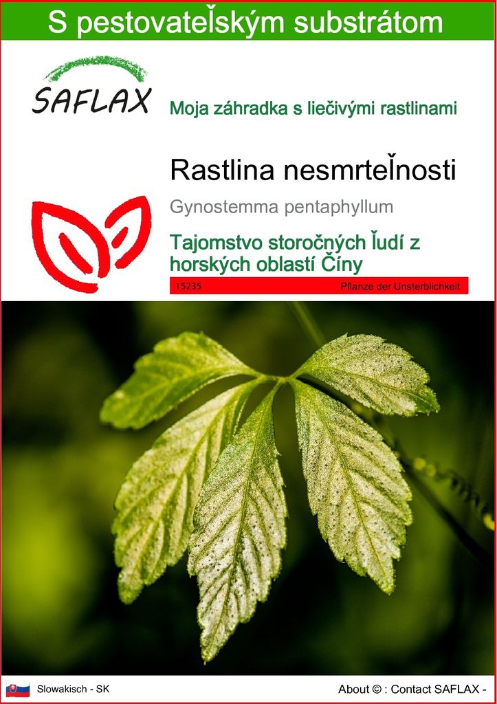 SAFLAX - rastlina nesmrteľnosti - Gynostemma pentaphyllum - Obrázok produktu 