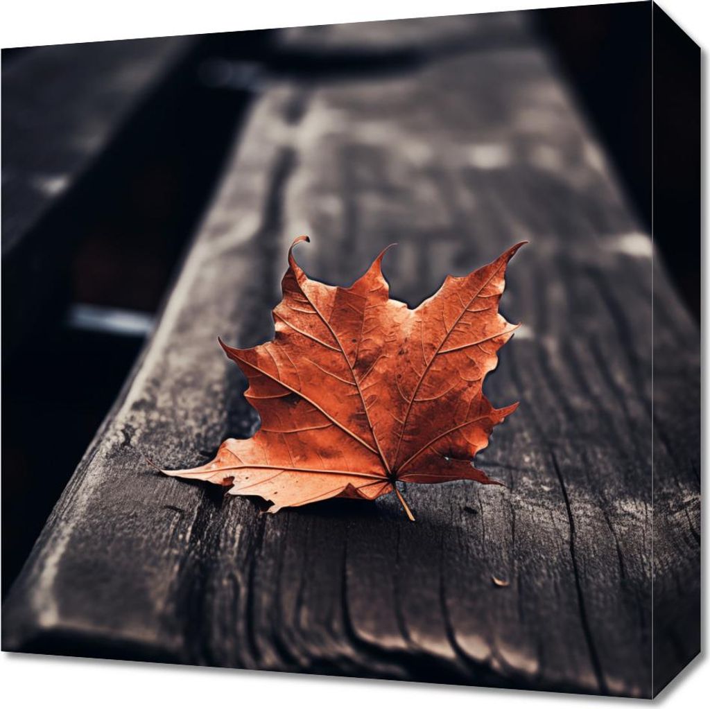 Bild 40x40cm Einzelnes Blatt