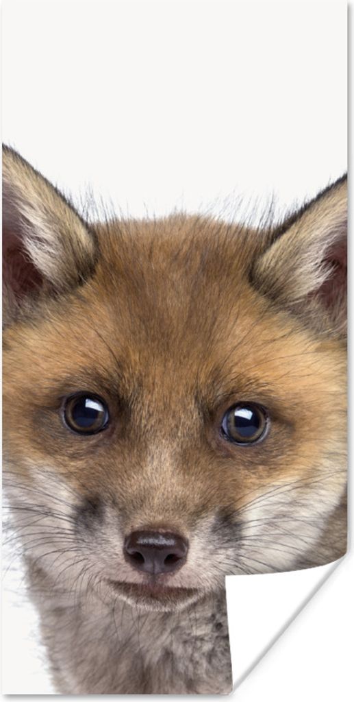 MuchoWow Poster Fuchs - Tiere - Jungtier - Jungen - Mädchen - Kind 40x80 cm - Dekoration