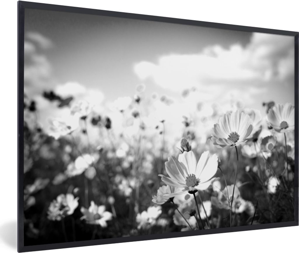 MuchoWow MuchoWow Gerahmtes Poster Blumen - Wiese - Lila - Gras - Weiß - Wolken - Blau 90x60 cm - Poster mit zchwarzem Bilderrahmen - Fotorahm...