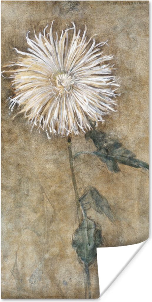 MuchoWow Poster Chrysantheme - Piet Mondrian - Alte Meister 75x150 cm - Dekoration für die Wände