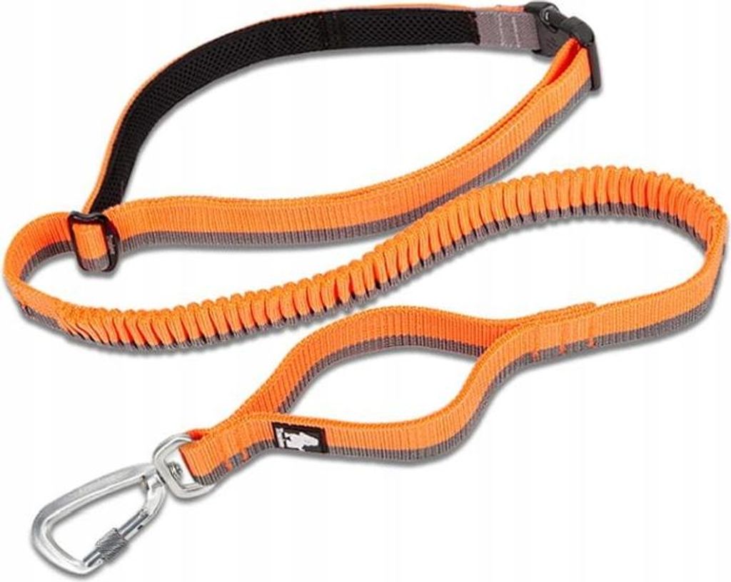 FLEXIBLE Leine zum Laufen mit Hund STRONG BUNGEE L