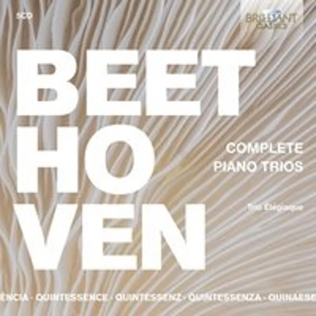 Musique Classique pour Salon Beethoven Trios Piano 1-11 Coffret Audio