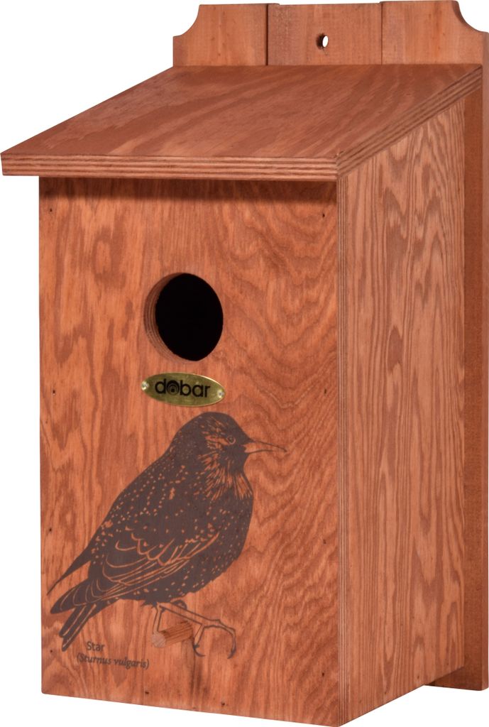 dobar Nistkasten mit Siebdruckmotiv "Star", Vogelhaus Produktbild 