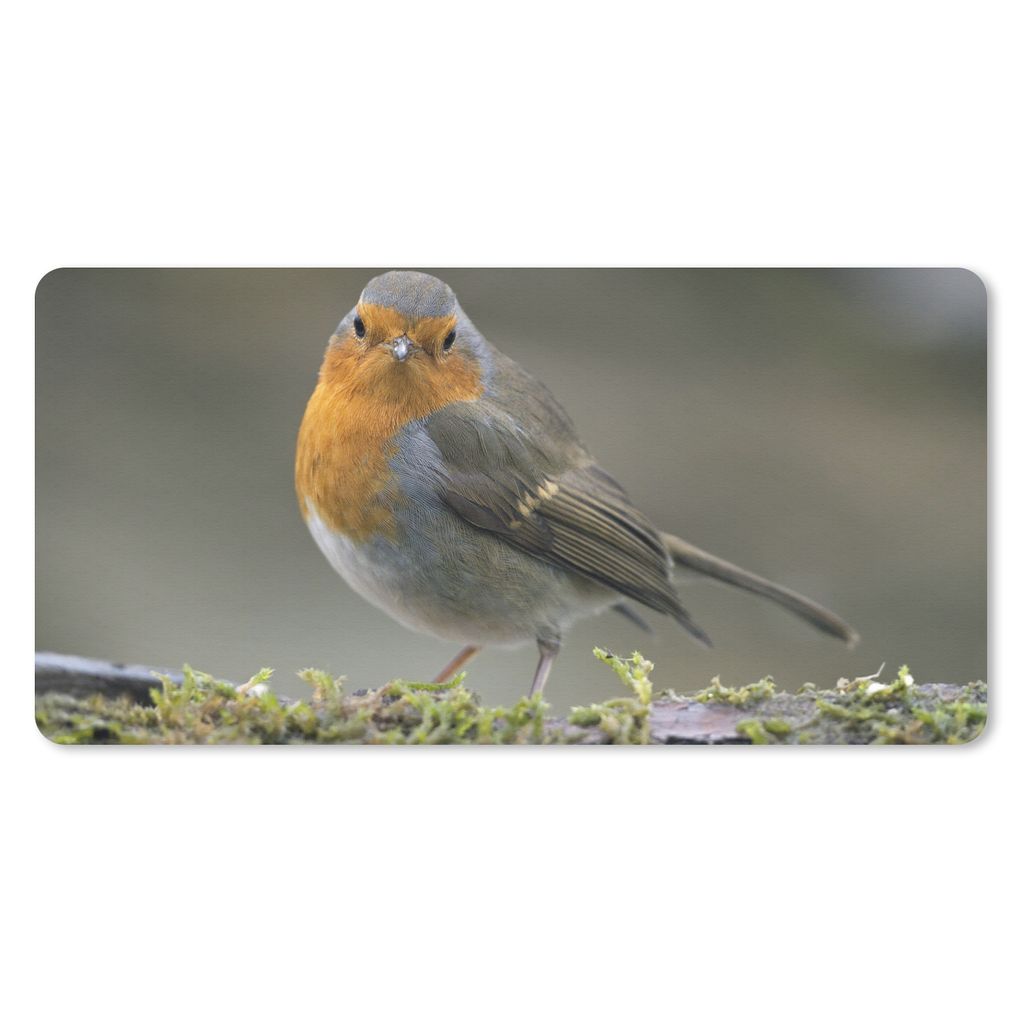 MuchoWow Mauspad Mousepad Rotkehlchen - Wasser - Moos 60x30 cm - Mousepads - Maus Mat - Pad - Mausunterlage - Nachhaltig