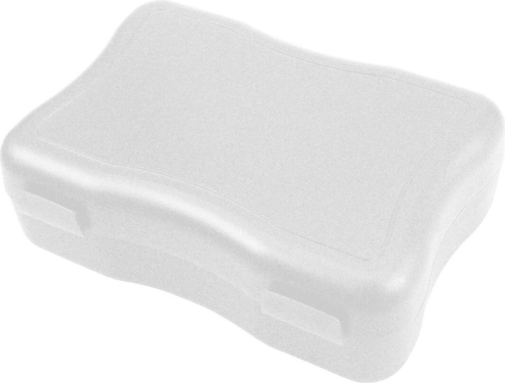 Brotdose "Wave" groß – BPA-freie Lunchbox mit Klickverschluss - Nachhaltige Pausenbox Germany für Kinder in Schule & Kindergarten - Transpare...