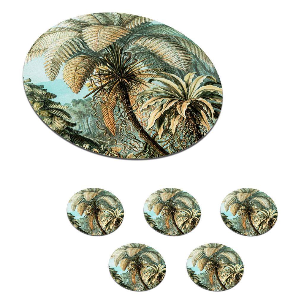 KitchenYeah Glasuntersetzer Rund 6er Set Palme - Ernst Haeckel 10x10 cm Untersetzer für Gläser - Getränkeuntersetzer - Tischplattenschutz - Ti...