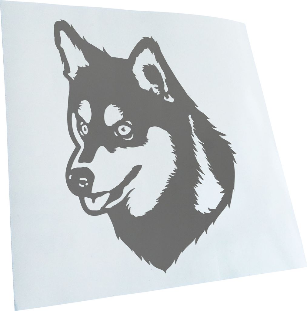 Kiwistar - Autoaufkleber - Alaskan Klee Kai Hund - Grau - 60x43cm - Aufkleber für Auto, Laptop, Fahrrad, LKW, Motorrad mehrfarbig JDM Decal Racing