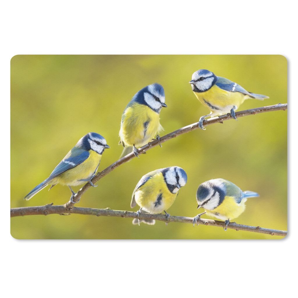 MuchoWow Schreibtischunterlage Vogel - Blaumeise - Äste - Sonne 60x40 cm - XXL Mauspad - Großes Mauspad