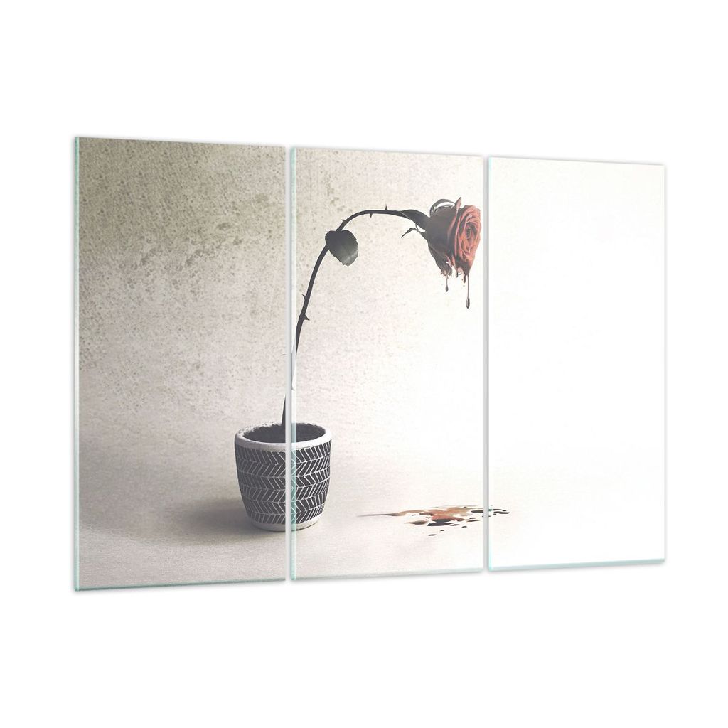 Bilder auf glas - 3 Teile - Symbol Rose Leiden - 165x110cm - Glasbilder - Wandbilder - Bilder - zum Aufhängen bereit - Wanddekoration aus Glas - G...