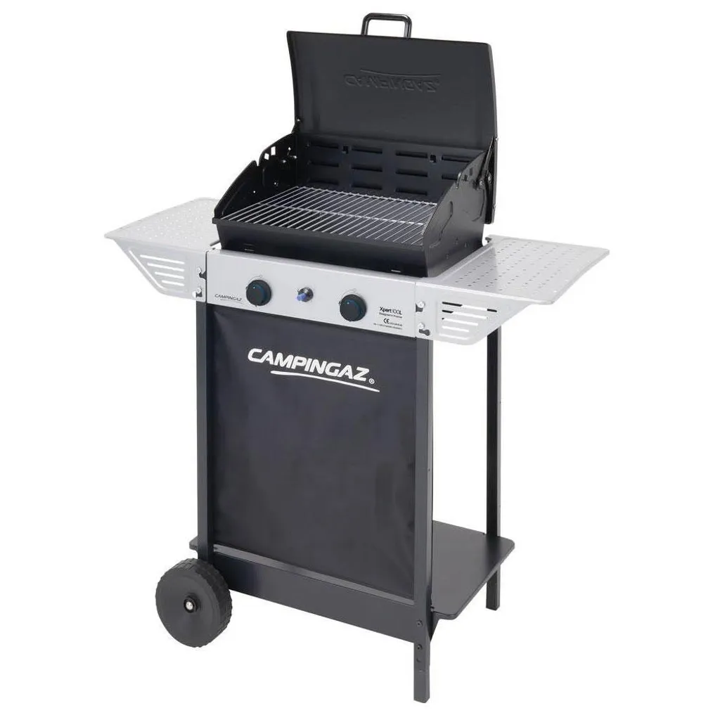 Barbecue à gaz Xpert 100 L : fini le charbon, grillades faciles et nettes