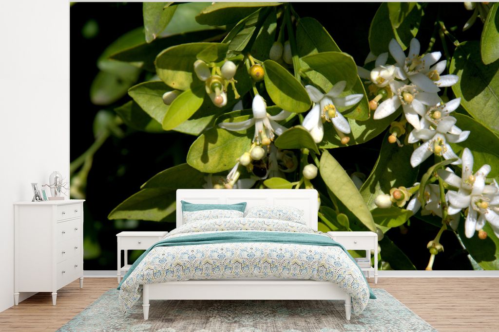 MuchoWow Fototapete für Wohnzimmer oder Schlafzimmer Wandtapete Vinyl Motivtapete Blühende Orangenblüte an einem Baum - 320x240 cm - Tapeten