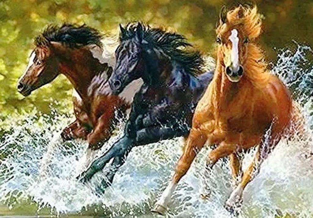 Diamond Painting Vollbild 50x70 cm mit runden Steinen