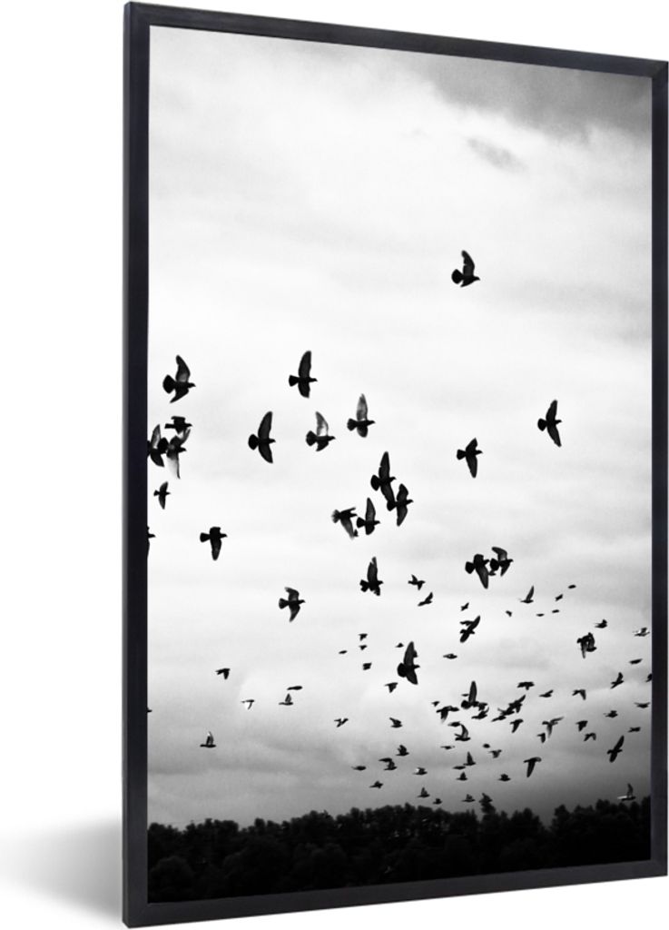 MuchoWow Gerahmtes Poster Tiere - Vögel - Wolken - Schwarz - Weiß 20x30 cm - Poster mit Schwarzem Bilderrahmen Wandposter Rahmen Foto Bilder - ...