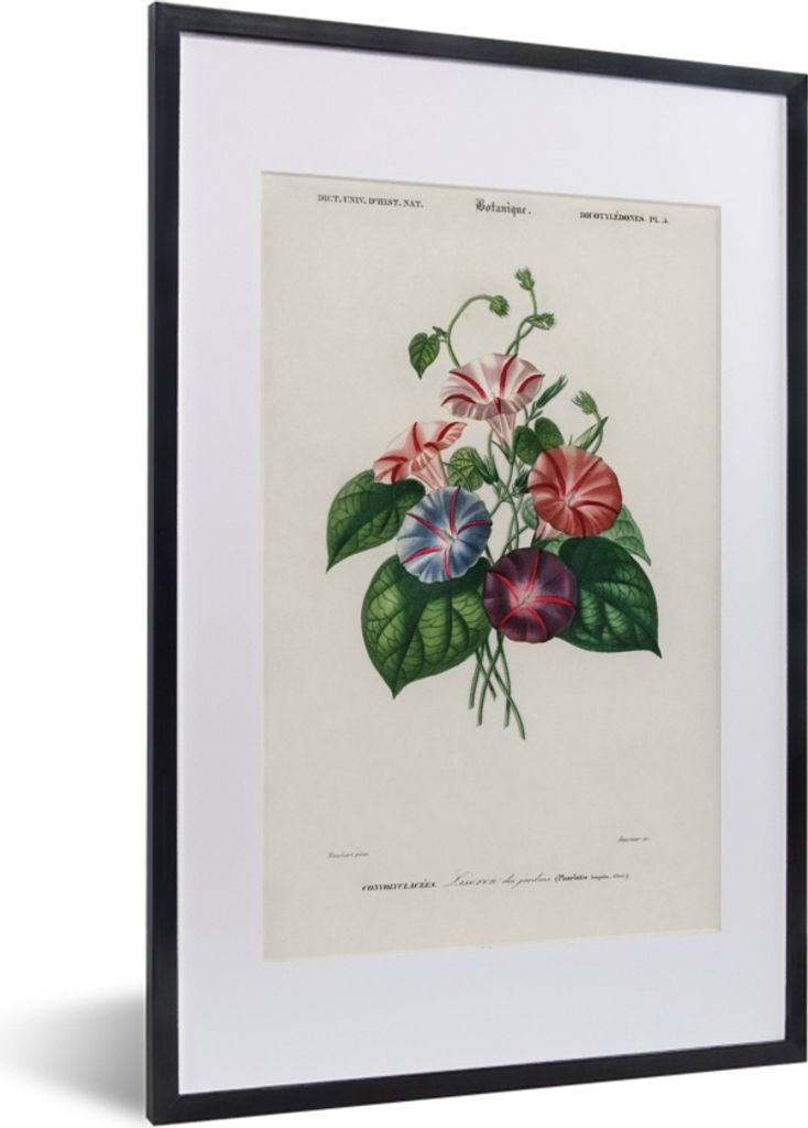 MuchoWow MuchoWow Gerahmtes Poster Blumen - Vintage - Blatt 40x60 cm - Poster mit zchwarzem Bilderrahmen - Poster in Rahmen