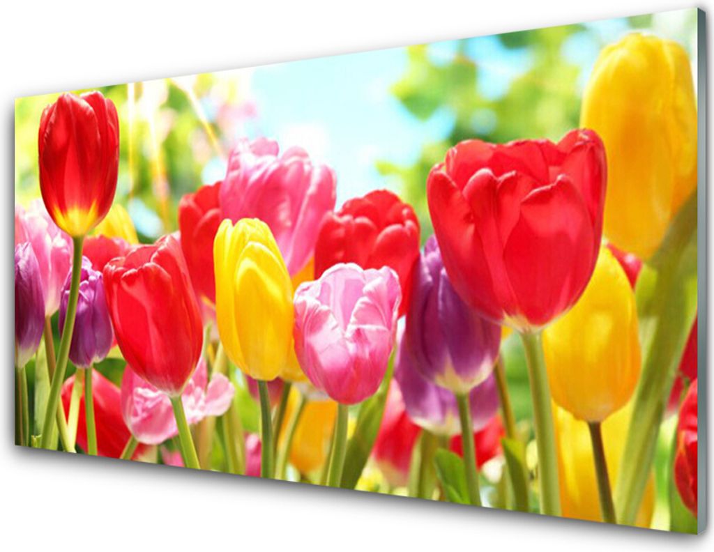 Acrylglasbilder 100x50 Wandbild Druck Tulpen Pflanzen
