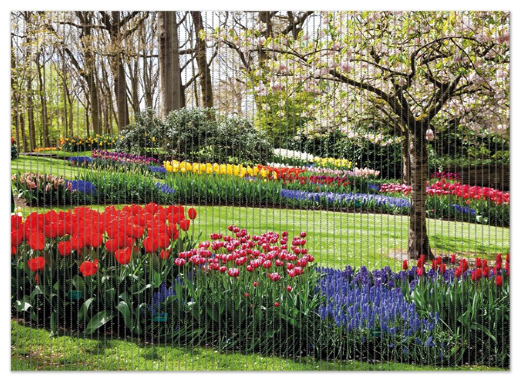 Wallario Duschmatte Antirutschmatte Badmatte Fußmatte Bunte Blumen und Kirsch-Baum im Park blühen im Frühling, Größe ca. 90 x 65 cm