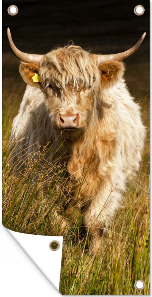 MuchoWow 80x160 cm Outdoor-Poster Gartendeko Sichtschutz Garten Poster für den Garten Schottischer Highlander - Porträt - Gras