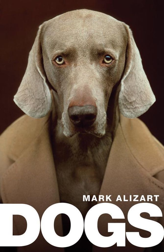 Dogs – Lingua: Inglese