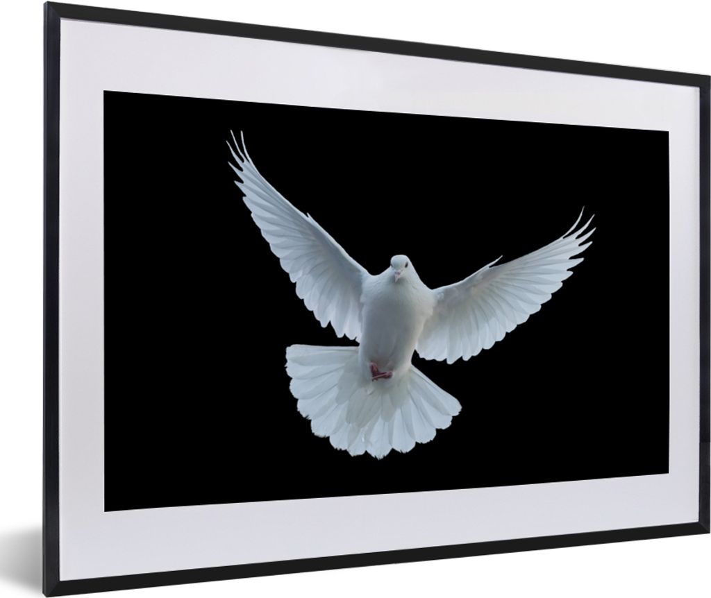 MuchoWow Gerahmtes Poster Taube - Vogel - Schwarz - Weiß - Porträt 60x40 cm - Poster mit Schwarzem Bilderrahmen Wandposter Rahmen Foto Bilder -...