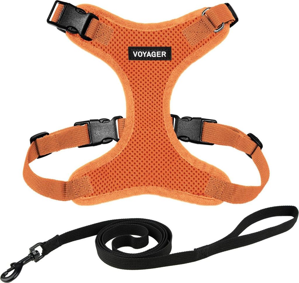 Voyager Step-in Lock Katzengeschirr und reflektierende Katzenleine mit Neoprengriff by Best Pet Supplies - Unterstützt kleine, mittelgroße und gr...
