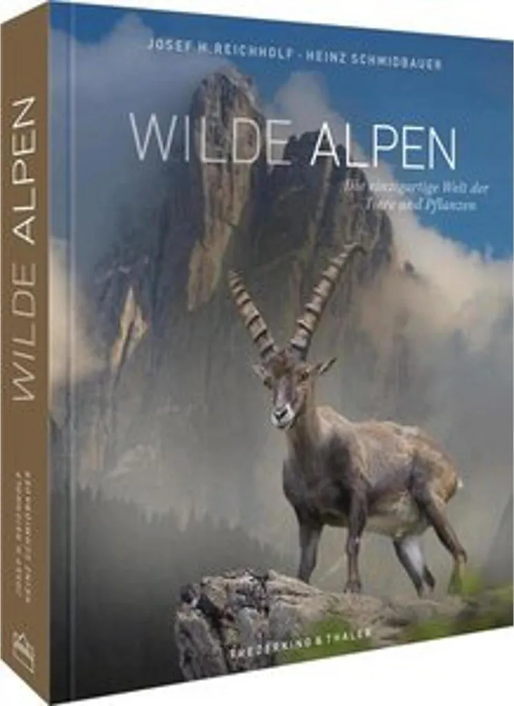 Wilde Alpen Eau Riche en Magnésium et Calcium pour Sportifs Pack de 12