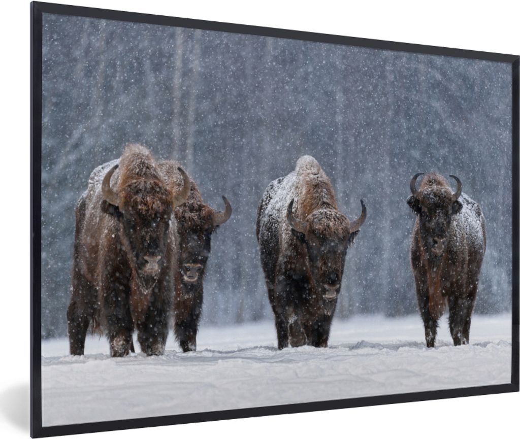 MuchoWow® MuchoWow® Gerahmtes Poster Tiere - Schnee - Produktbild 
