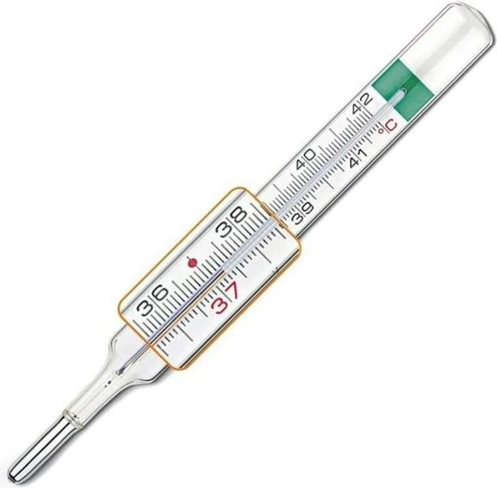 Thermomètre sans mercure en verre incassable avec étui de rangement Pro
