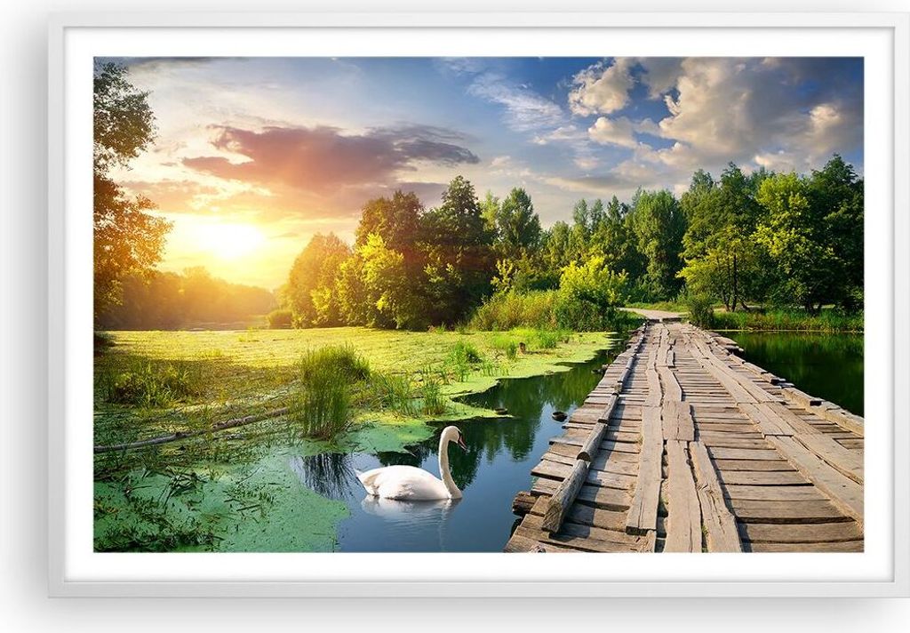 Gerahmtes Poster - Weißer Rahmen - Architektur Promenade Schwan Landschaft - 91,5x61 cm - Wand Bild - Wanddeko - Wandbilder - Wandposter - Bilderr...