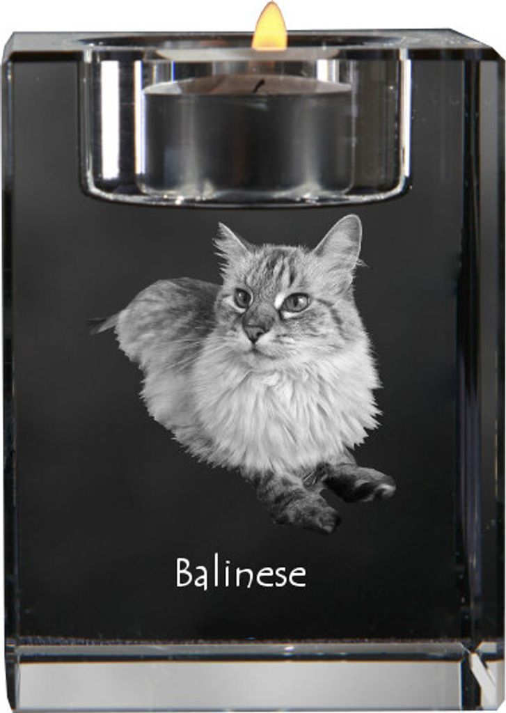 Balinese links - Kerzenhalter mit Katzenfoto, Teelichthalter aus Kristall, personalisiertes Geschenk der Marke Art-Dog