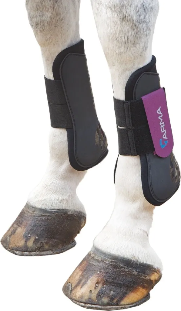 Guêtres de Protection Équitation ARMA ER838 Cob Noir Prune pour le Saut