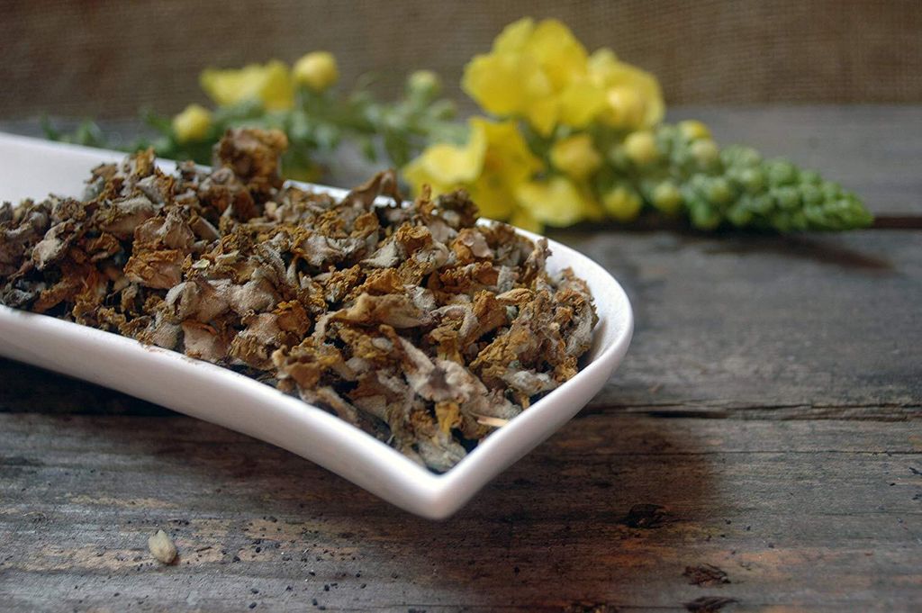 Krauterino24 - Königskerzenblüten ganz | Menge: 500g