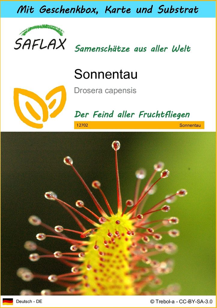 SAFLAX - Geschenk Set - Sonnentau - 200 Samen - Mit Geschenk- / Versandbox, Versandaufkleber, Geschenkkarte und Anzuchtsubstrat - Drosera capensis
